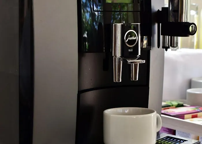 Pansion Tony Pag Паг