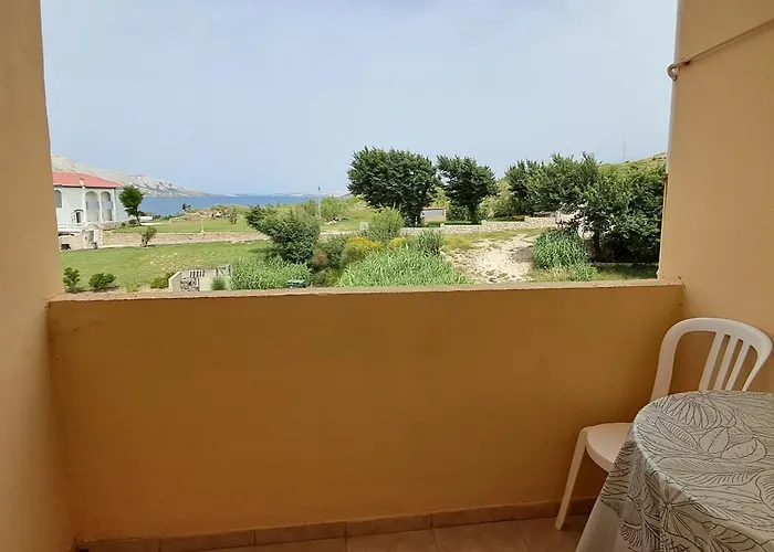 Pansion Tony Pag Паг