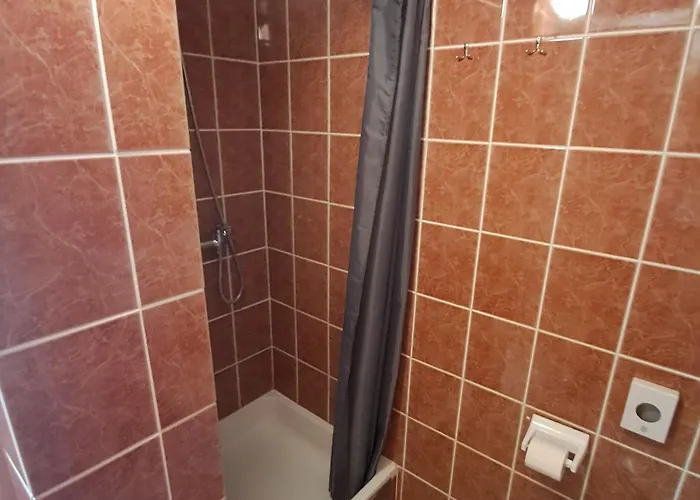 Pansion Tony Pag Паг